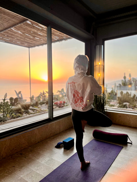 Pretty Conscious Hoodie Hustle/Align